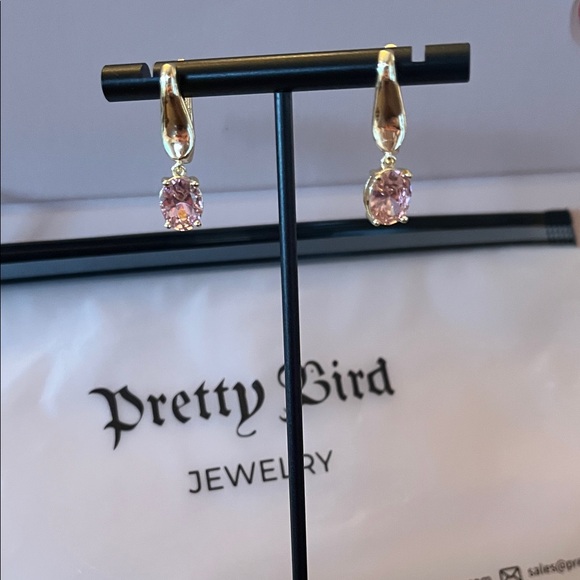 Pretty Bird Jewelry Jewelry - Pretty Bird Gold and Pink Drop Earrings